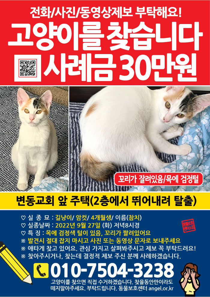 강아지 고양이 전단지