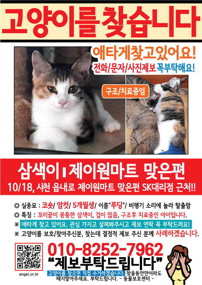 강아지 고양이 전단지