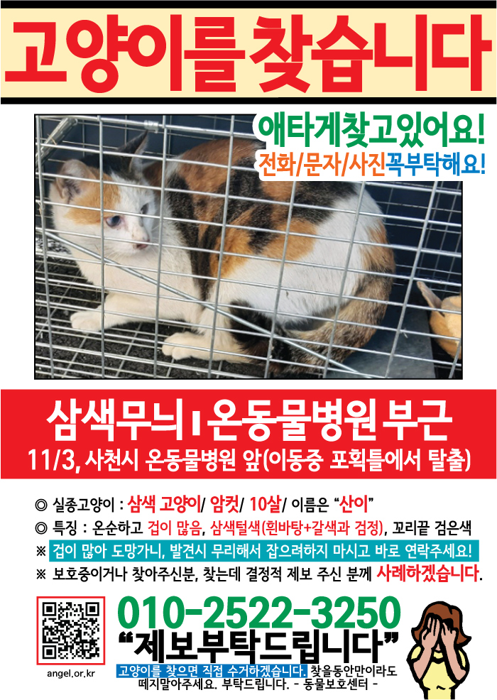 강아지 고양이 전단지