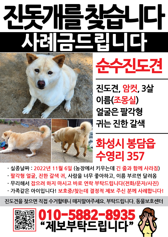 강아지 고양이 전단지