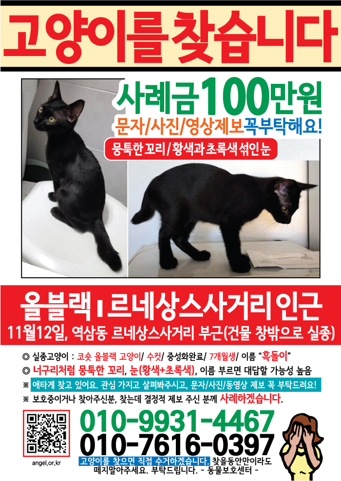 강아지 고양이 전단지