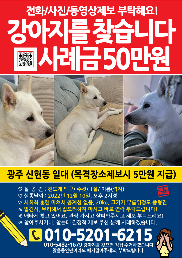 강아지 고양이 전단지