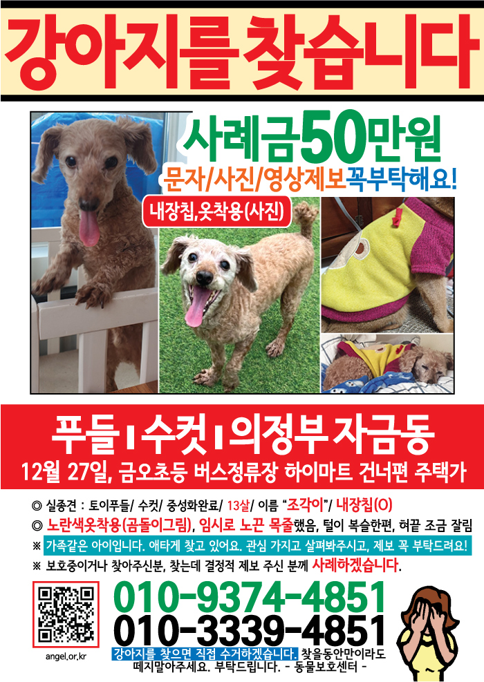 강아지 고양이 전단지