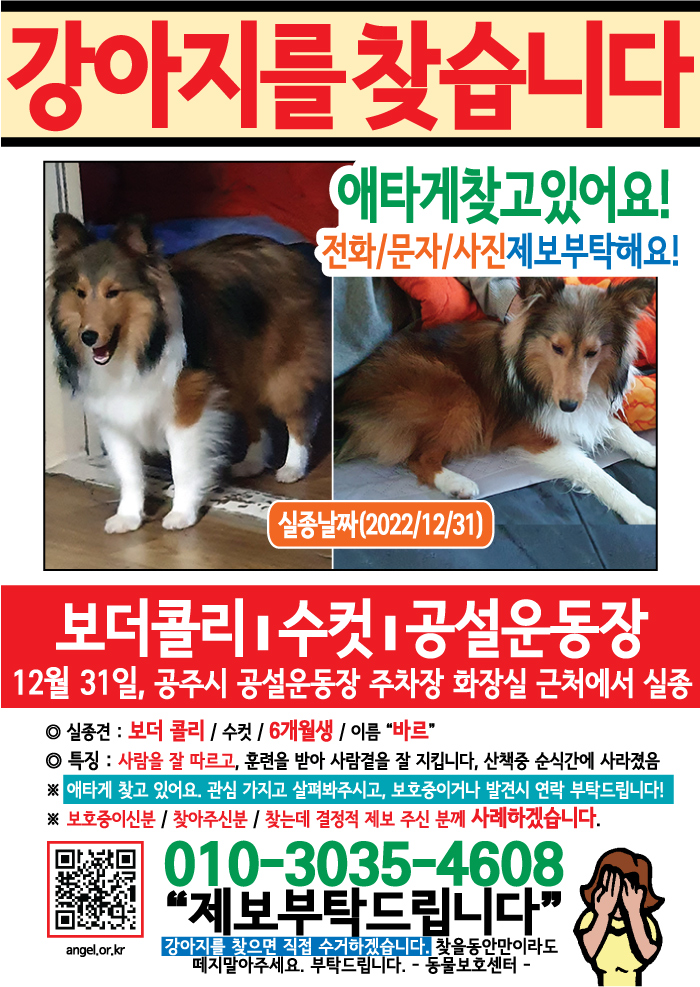 강아지 고양이 전단지