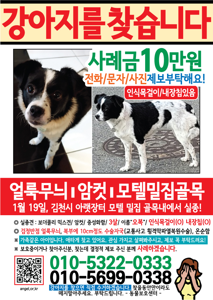 강아지 고양이 전단지