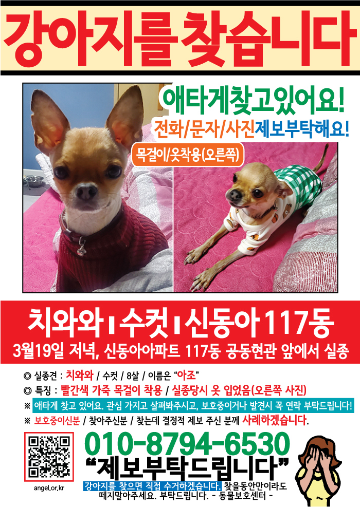 강아지 고양이 전단지