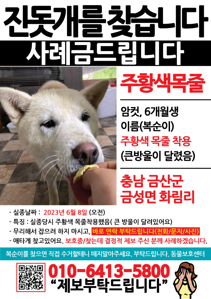 강아지 고양이 전단지