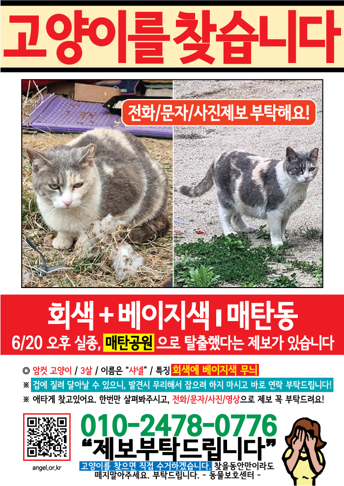 강아지 고양이 전단지