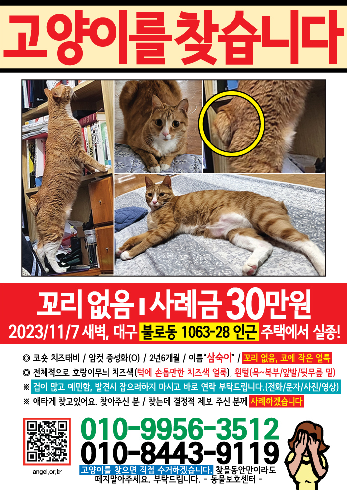 강아지 고양이 전단지