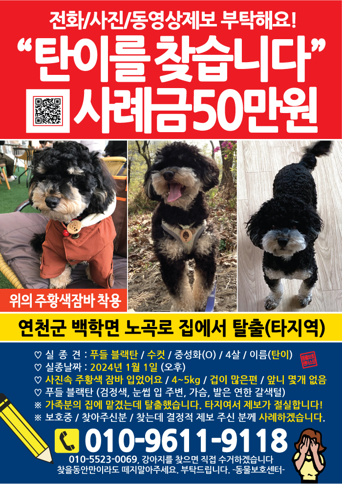 강아지 고양이 전단지