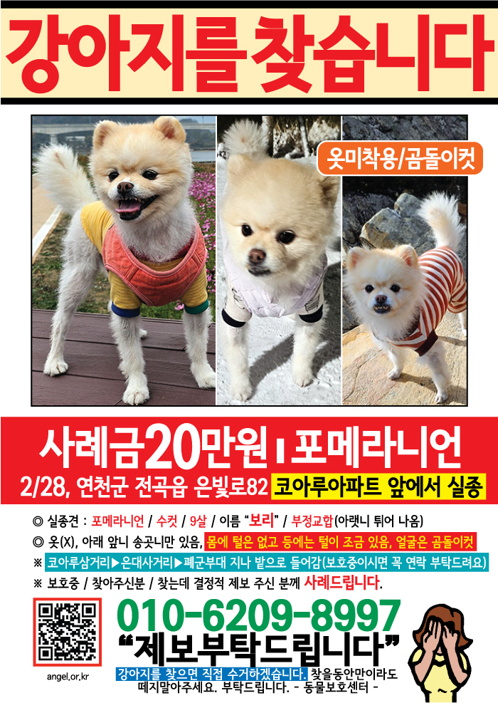 강아지 고양이 전단지