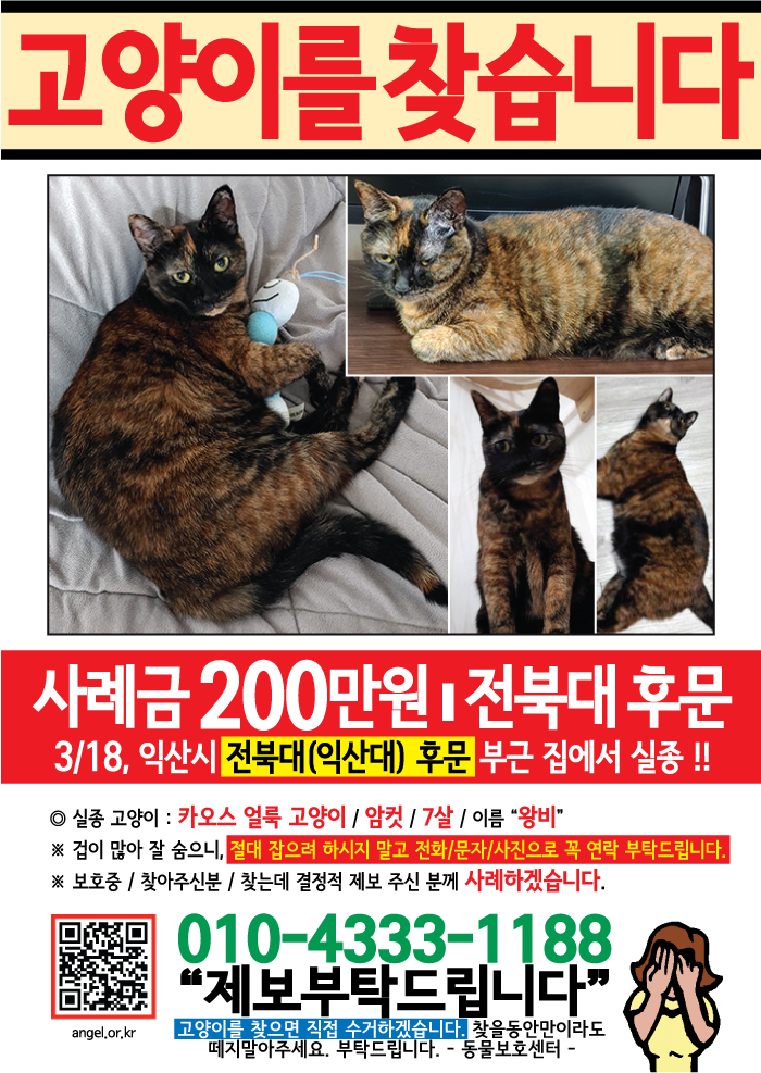 강아지 고양이 전단지