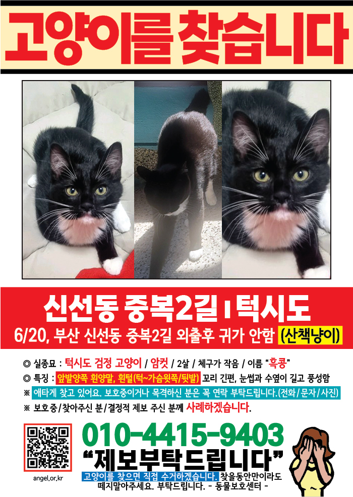 강아지 고양이 전단지