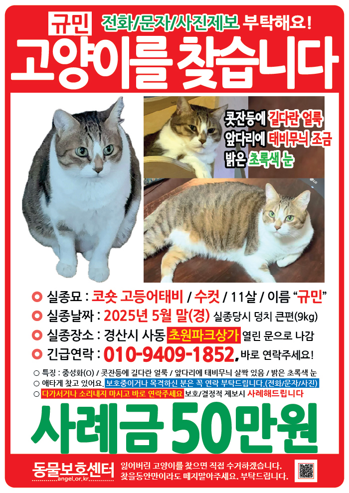 강아지 고양이 전단지