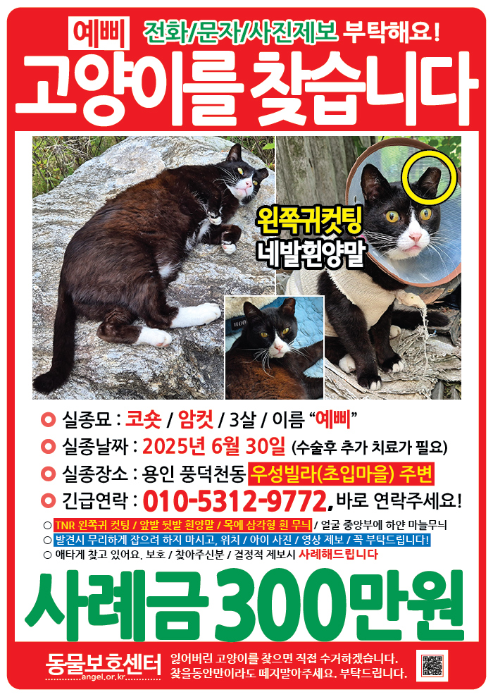 강아지 고양이 전단지